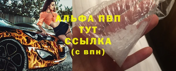 стаф Снежногорск